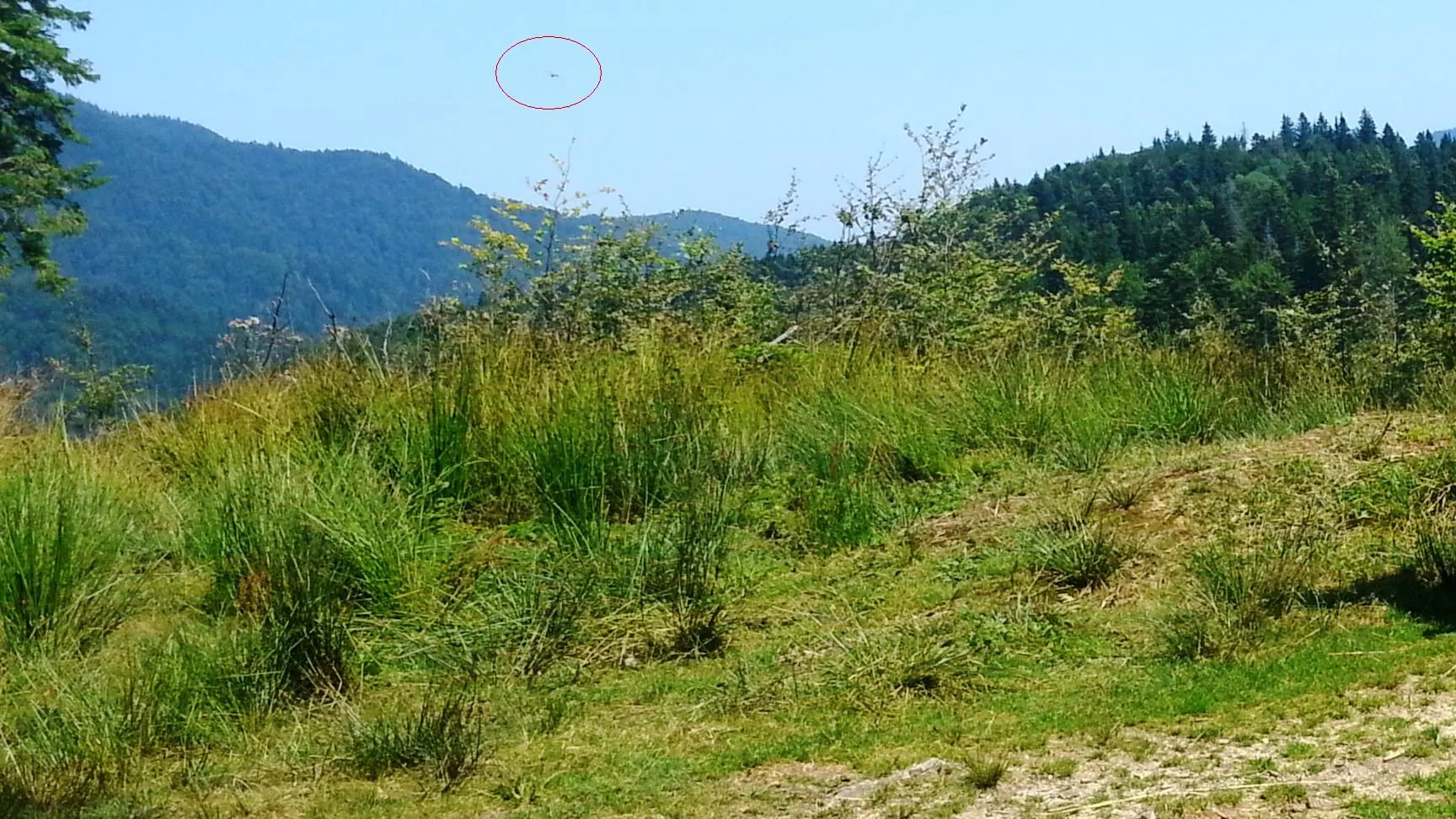 Căutările avionului prăbușit, reluate duminică. Noul indiciu pe care l-au primit salvatorii