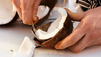 Cum să spargi o nucă de cocos rapid şi corect