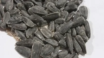 Pericolele consumului de seminţe sărate. Avertismentul nutriţioniştilor