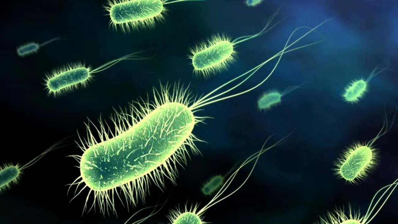 Insomnia, un semn că ai multe toxine în corp. Ce alte simptome îţi spun că ai organismul intoxicat!