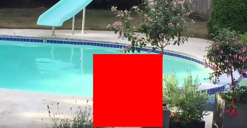 Au vrut să intre în piscină, dar au înlemnit! Stătea în apă şi făcea asta. Totul a fost filmat