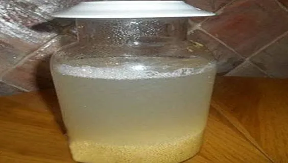 Cum să scapi în 10 zile de pietrele de la rinichi folosind o reţetă tradiţională rusească