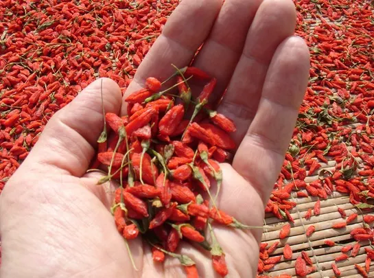 Tot ce trebuie să ştii despre fructele de goji. Dovada că fac minuni pentru sănătate