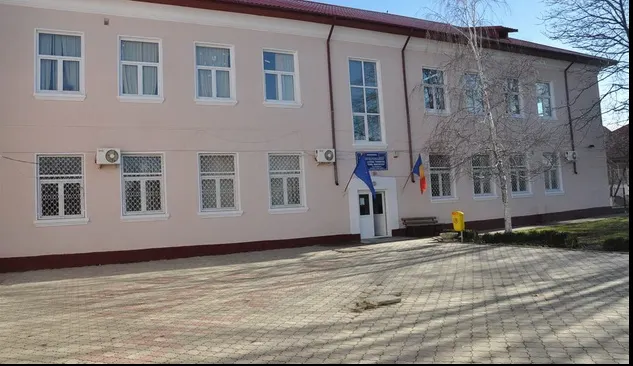 Invazie de purici la un liceu din Constanța. Elevii au fost trimiși acasă
