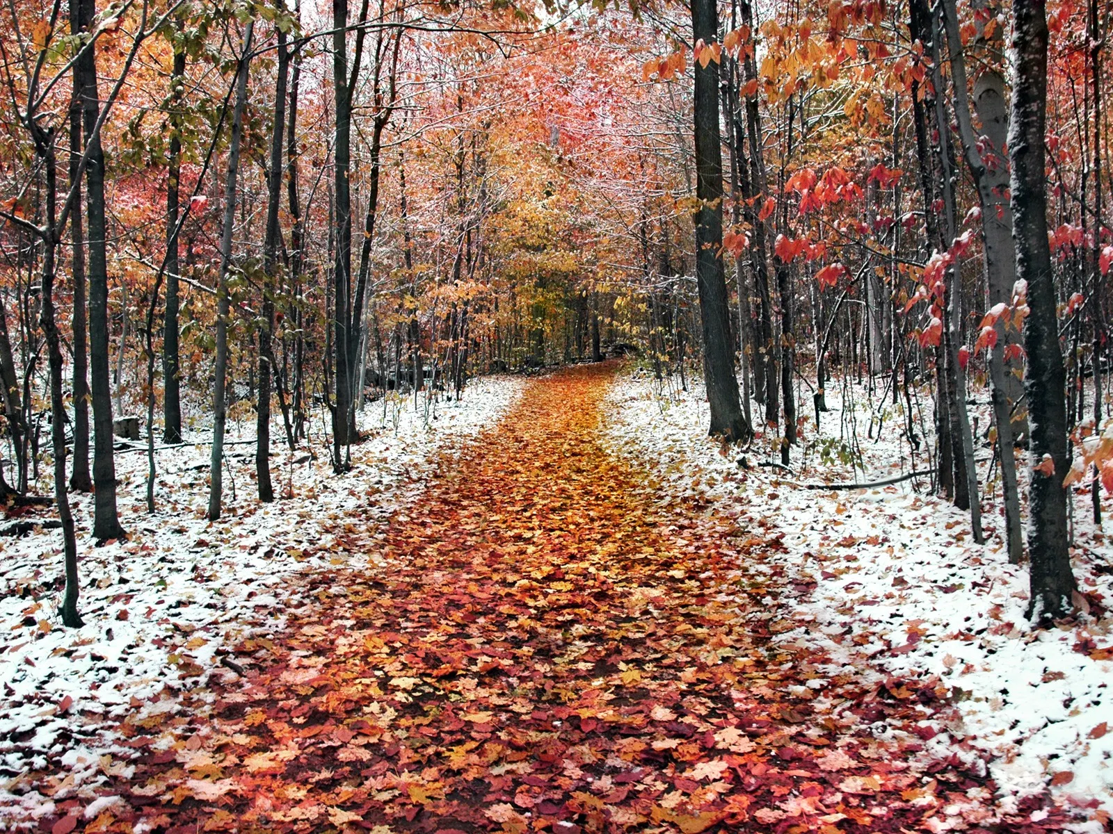 Prognoza meteo pentru lunile octombrie, noiembrie şi decembrie. Ce vreme ne aşteaptă de sărbători