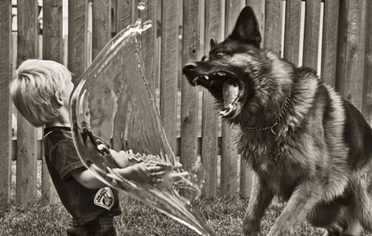 Fotografii impresionante de care nu s-a atins Photoshop-ul