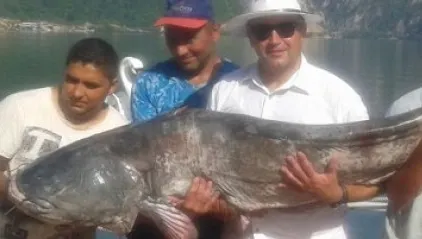 "Monstrul" prins de un român în Clisura Dunării. Are doi metri și 90 de kilograme