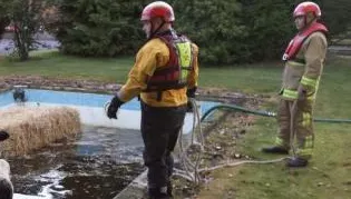 "Misiune" inedită pentru pompieri. Ce a trebuit să "salveze" dintr-o piscină