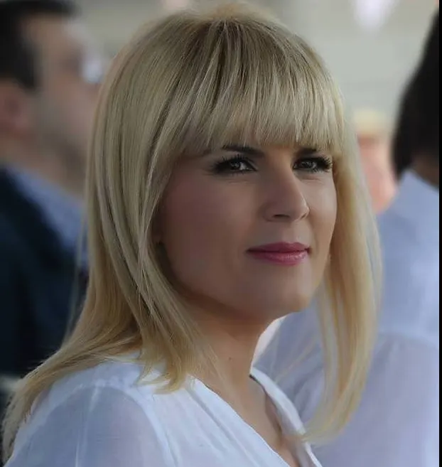 Elena Udrea, reacție după ce foștii colaboratori din Gala Bute și-au recunoscut faptele