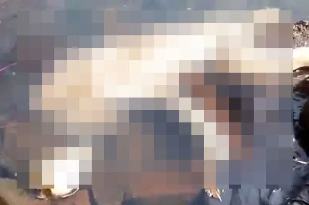 Creatura bizară descoperită într-un râu. Localnicii spun că este monstrul legendar Chupacabra