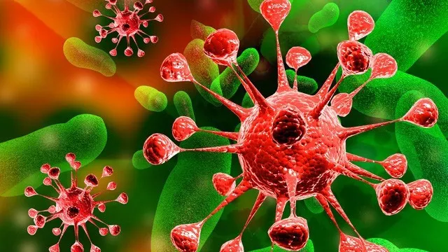 Semințele magice care te vindecă de cancerul la colon. Fac minuni împotriva mai multor boli