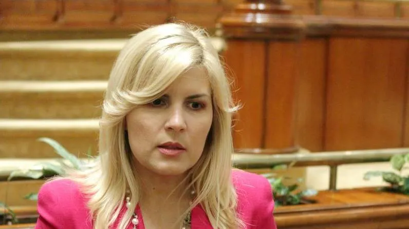 Udrea:Foştii colaboratori care spun că au luat bani, dar pentru mine, să demonstreze cum mi i-au dat
