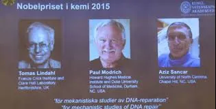 S-a decernat Nobelul pentru chimie! Anul acesta sunt trei câștigători!