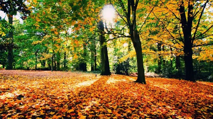 Încălzirea globală. Anunțul îngrijorător făcut de meteorologi