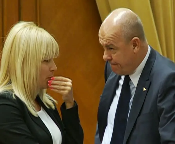 Cum pot scăpa Udrea şi Oprea de acuzaţia de abuz în serviciu, după interpretarea CCR