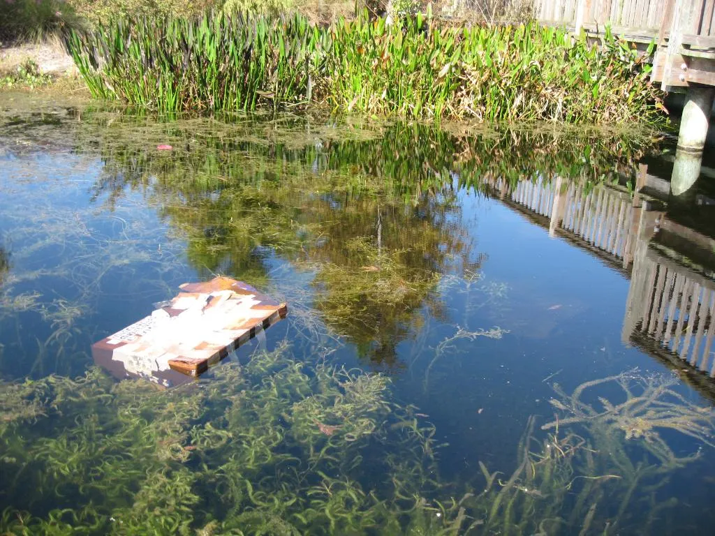 Au găsit o valiză plutind pe apă. Au deschis-o și s-au cutremurat