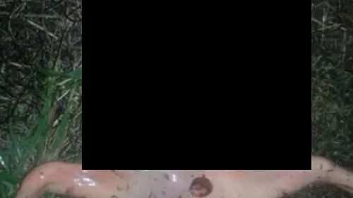 Legătura dintre "extraterestrul" găsit mort în San Jose şi testele cu rachete făcute de americani