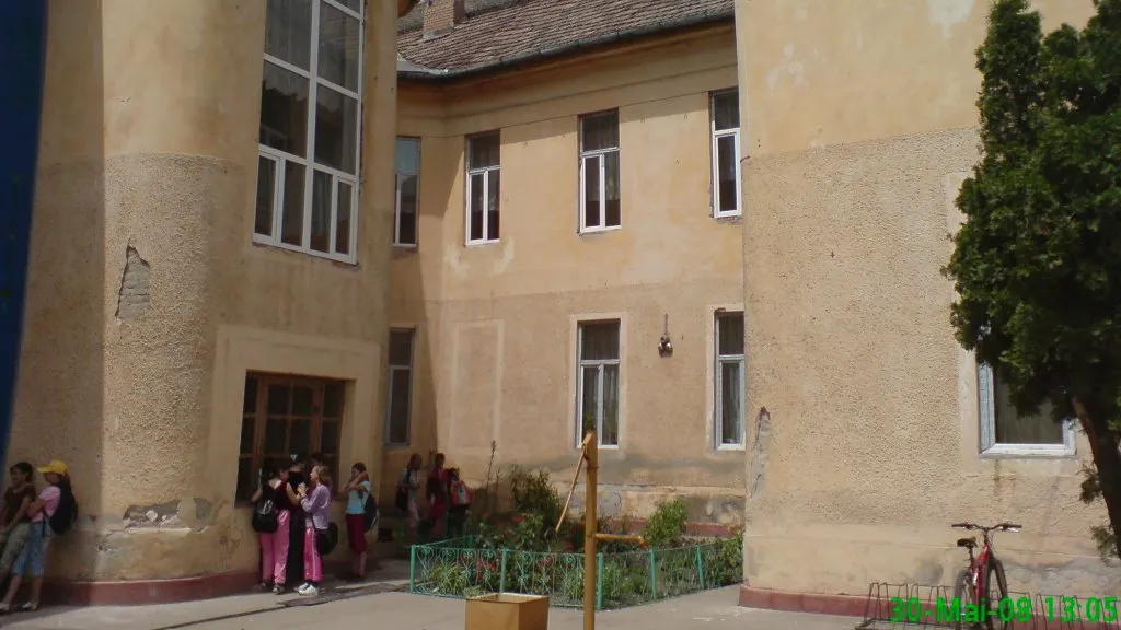 Scandal între o profesoară şi elevi, la un liceu din Timiş: "Am dat eu, ca să nu mă pocnească el"