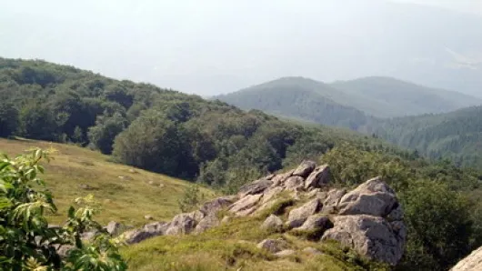 150 de persoane continuă căutările bărbatului pierdut în Munții Semenic