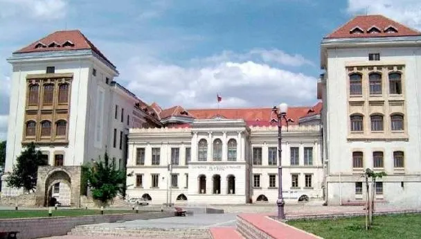 Fostul șef al UMF, după tragedia din Colectiv: ”Secția de arși de la Iași e o glumă”
