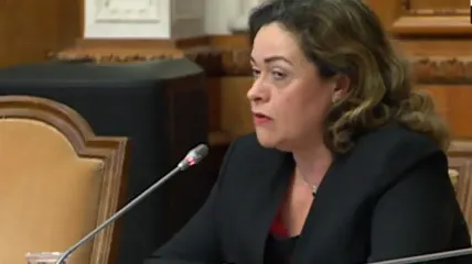 Claudia Ana Costea, propusă la Ministerul Muncii, audiată în comisie. Care sunt obiectivele sale