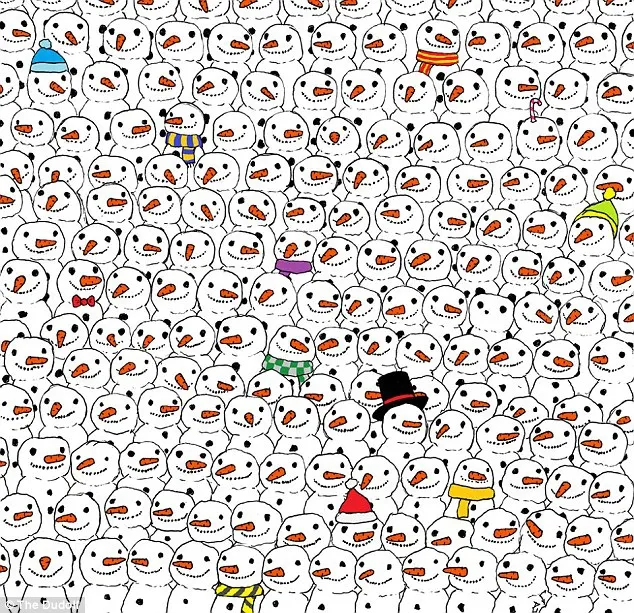 Puzzle-ul care a scos din minţi pe toată lumea. Tu identifici panda în mulţime?