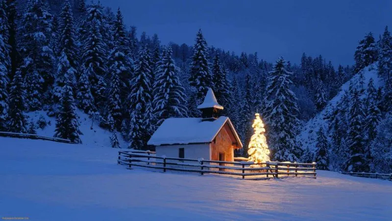 Ninge de Crăciun? Anunț de ultimă oră de la METEO. Prognoza de Sărbători