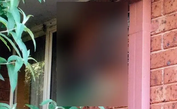 A ieșit din casă și a înghețat. Monstrul se cățăra, încet, pe peretele exterior. Imagini incredibile