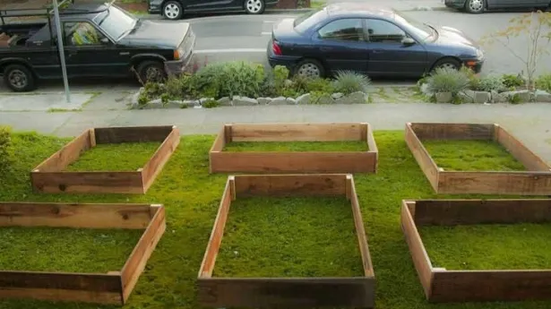 A început cu câteva cutii, iar după două luni vecinii nu mai recunoaşteau locul