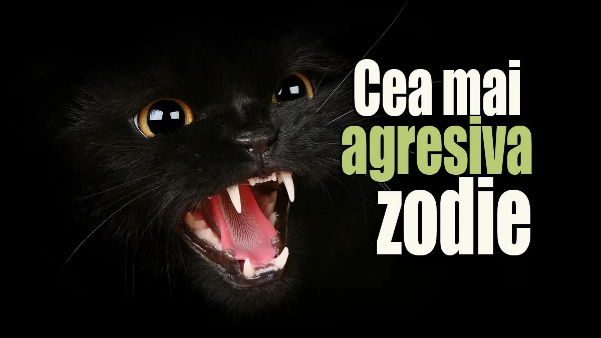 Care este cea mai agresivă zodie