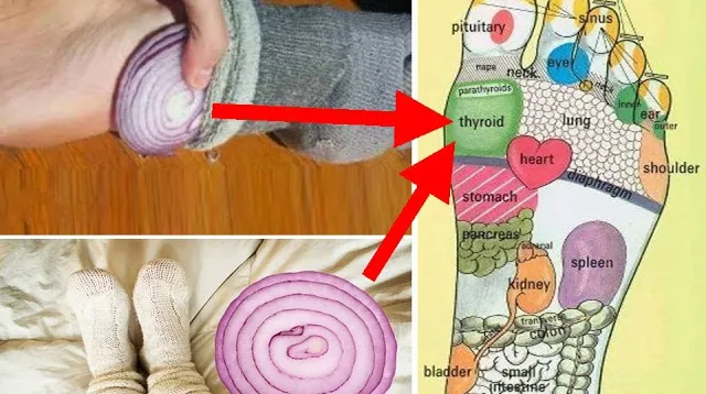 Şi-a pus o felie de ceapă în şosete şi viaţa i s-a schimbat. Motivul este incredibil