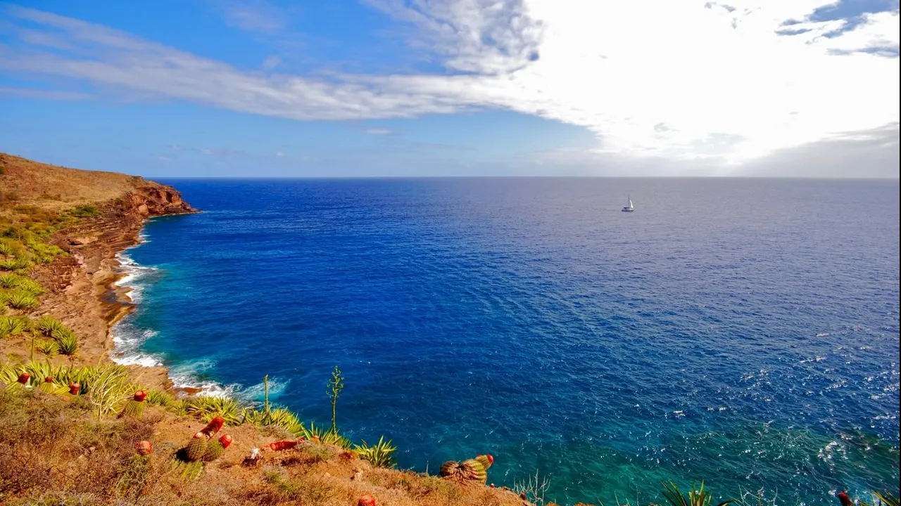Marea Mediterană, în pericol. Ce spun organizaţiile de protecţia mediului