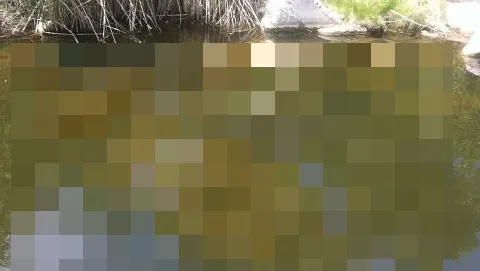 Doi amanţi se plimbau. Se sărutau pe marginea lacului când au văzut o maşină în apă. ŞOC ce au găsit