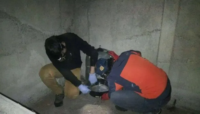 Panică într-un bloc din Ploieşti. Ce au descoperit locatarii, la subsol: Toate cotloanele, infestate