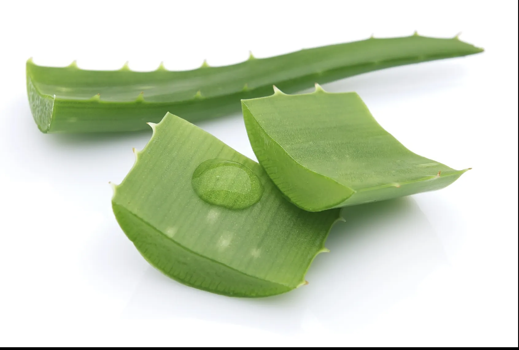 Remediul cu aloe al unui călugăr brazilian care vindecă zeci de boli