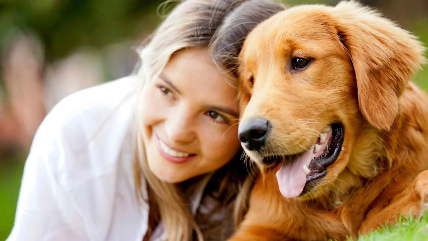 Ai un câine ca animal de companie? Cercetătorii au făcut o descoperire incredibilă despre asta