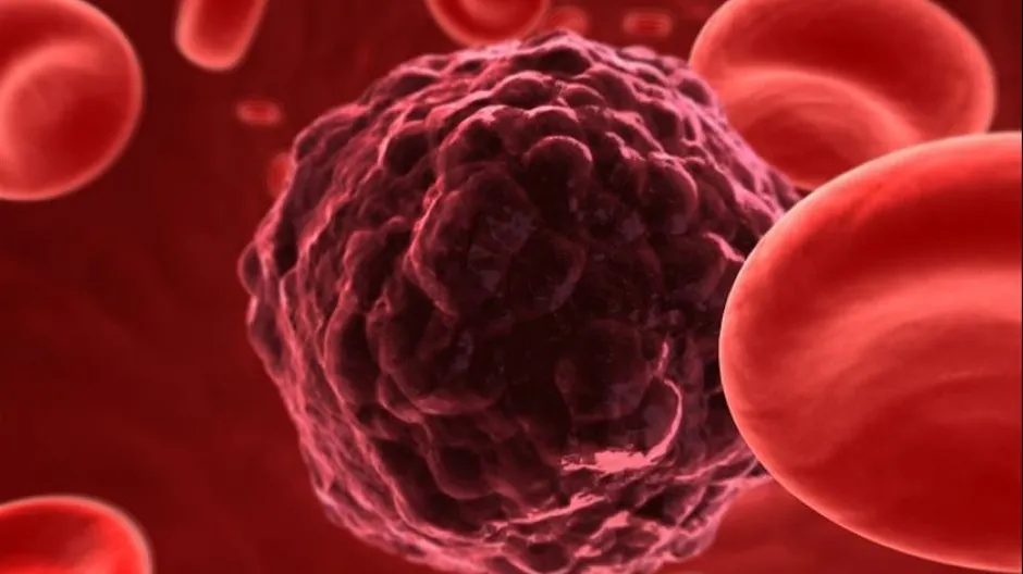 Puțini știu asta. Floarea miraculoasă care previne cancerul