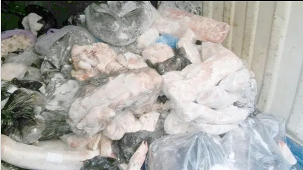 FĂRĂ PRECEDENT. Carne veche de 40 de ani, pusă în vânzare la Constanța