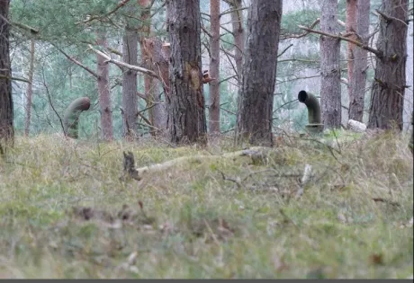 Au văzut niște conducte în pădure. Au intrat în ele și au rămas uluiți unde au ajuns