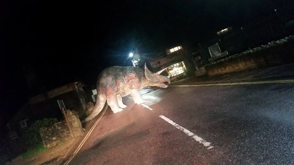 Şoferii au tremurat când au văzut aşa ceva! "Opreşte, ce se întâmplă!?" Farsa din trafic