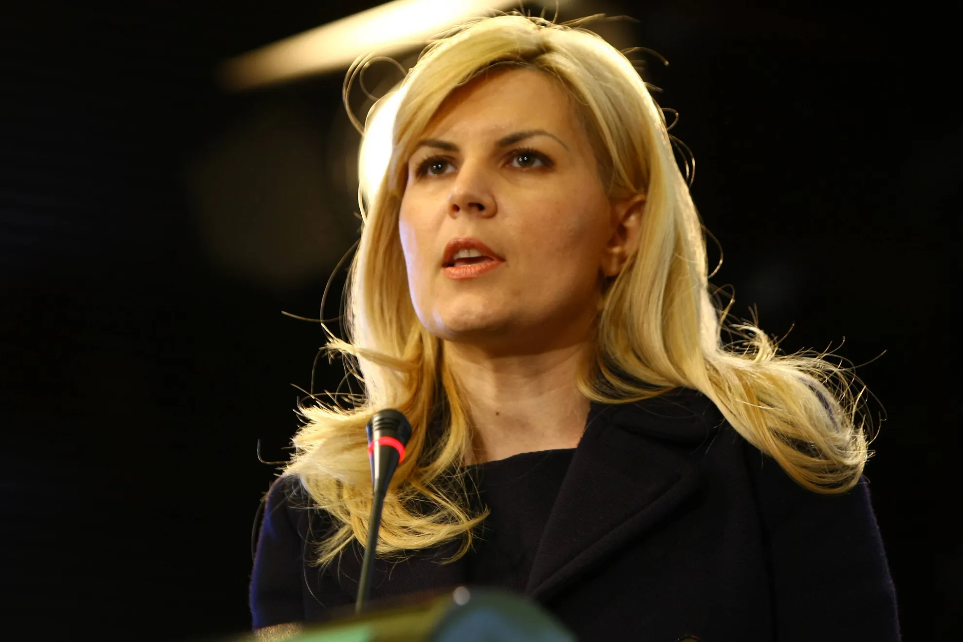 Elena Udrea vrea modificarea legii penale: Turnătorii să fie obligați să…