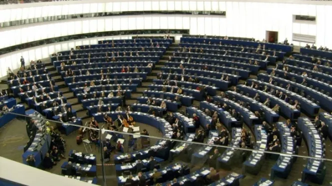 Europarlamentarii PSD iau poziție în cazul bebelușilor din Argeș. Ce solicită Guvernului