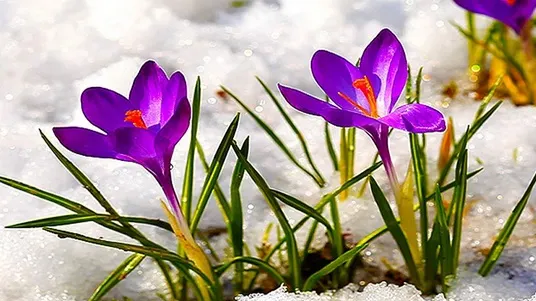 Weekend cu 18 grade, dar şi ninsori viscolite. Prognoza meteo pe trei zile