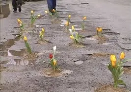 Protest inedit. Un primar din Vâlcea a plantat flori de primăvară în gropile unui drum județean