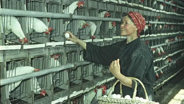 GALERIE FOTO. Ruşii "fericiţi şi liberi" în Epoca de Aur a URSS. Cum arată imaginile de atunci