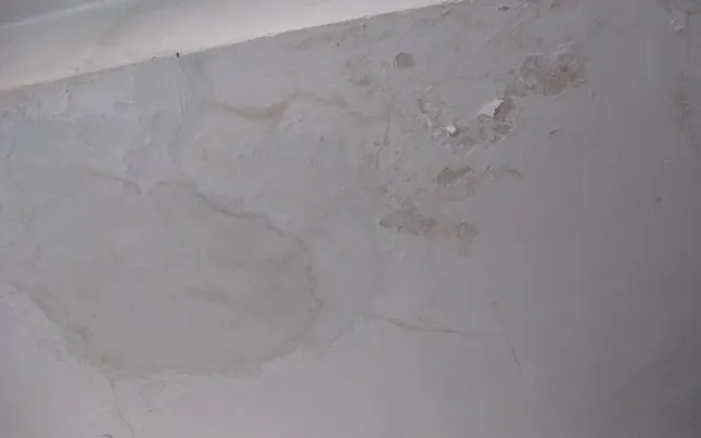 Cum scapi de IGRASIA din casă. Cele mai bune soluţii, la îndemână