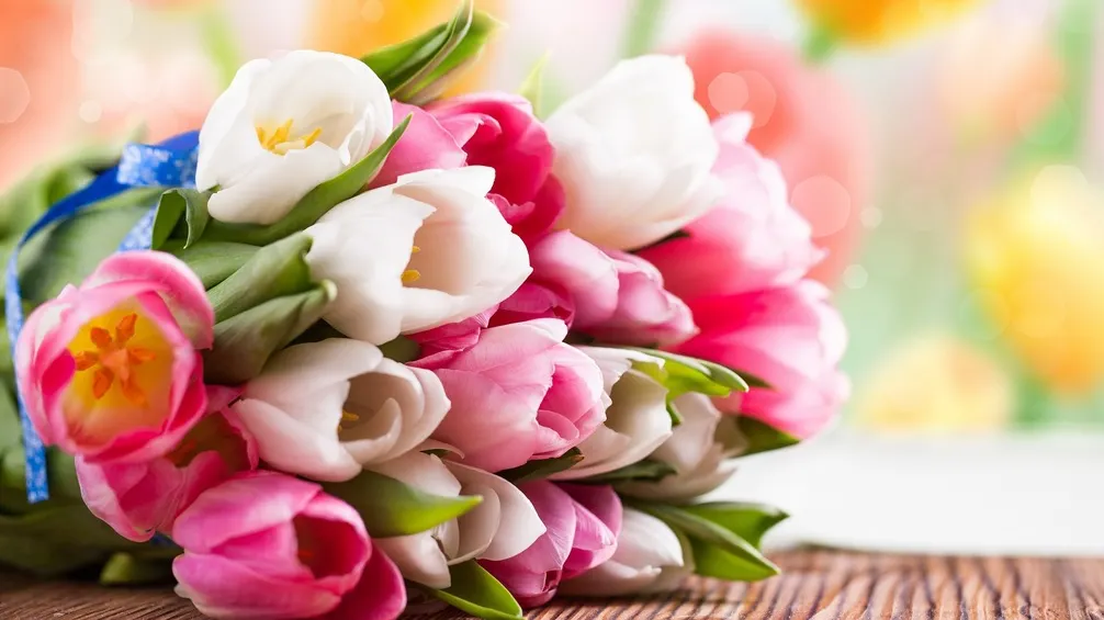 Ai primit un buchet de lalele? Ce trebuie să faci pentru ca florile să reziste mai mult în vază