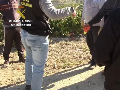 Sute de români, exploataţi în Spania, tot de cetăţeni români.Cum au fost salvaţi - FOTO impresionant