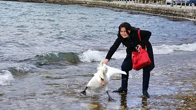 Ce s-a întâmplat imediat după această poză. Toată lumea o caută pe această femeie