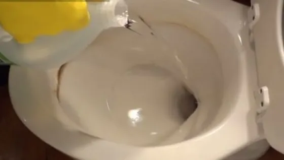 A turnat apă fierbinte în vasul de toaletă. Motivul e surprinzător. Vei folosi mereu acest truc
